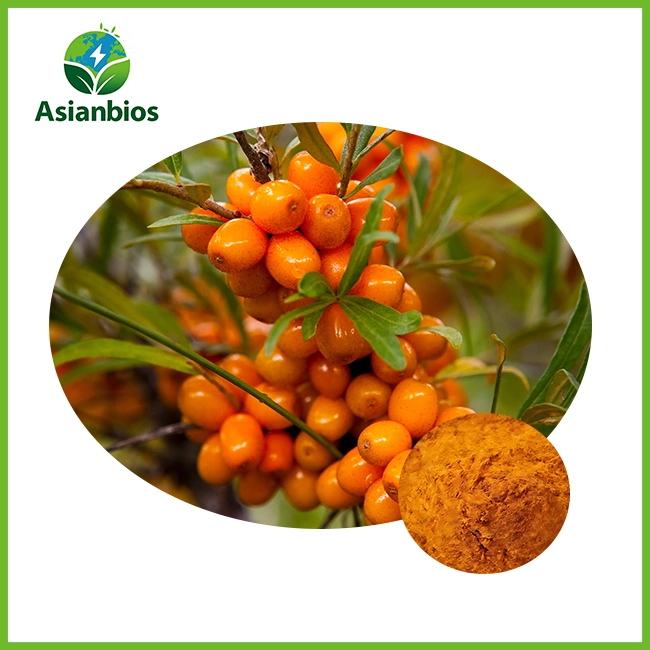 Sea Buckthorn Freeze-Dried Powder